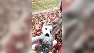 [2238 of 3935 Vids] Bree Louise (bree_louisexoxo aka breebbydance) OnlyFans Leaks Nude