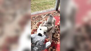 [2238 of 3935 Vids] Bree Louise (bree_louisexoxo aka breebbydance) OnlyFans Leaks Nude