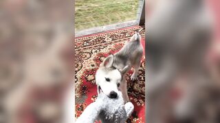 [2238 of 3935 Vids] Bree Louise (bree_louisexoxo aka breebbydance) OnlyFans Leaks Nude