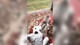 [2238 of 3935 Vids] Bree Louise (bree_louisexoxo aka breebbydance) OnlyFans Leaks Nude