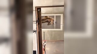 [2272 of 3935 Vids] Bree Louise (bree_louisexoxo aka breebbydance) OnlyFans Leaks Nude