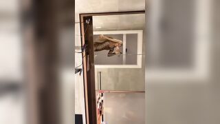 [2272 of 3935 Vids] Bree Louise (bree_louisexoxo aka breebbydance) OnlyFans Leaks Nude