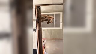 [2272 of 3935 Vids] Bree Louise (bree_louisexoxo aka breebbydance) OnlyFans Leaks Nude