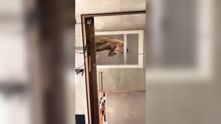 [2272 of 3935 Vids] Bree Louise (bree_louisexoxo aka breebbydance) OnlyFans Leaks Nude