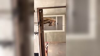 [2272 of 3935 Vids] Bree Louise (bree_louisexoxo aka breebbydance) OnlyFans Leaks Nude