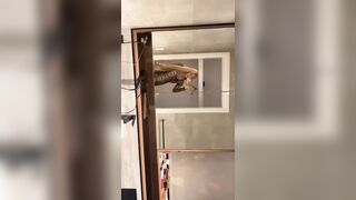 [2272 of 3935 Vids] Bree Louise (bree_louisexoxo aka breebbydance) OnlyFans Leaks Nude