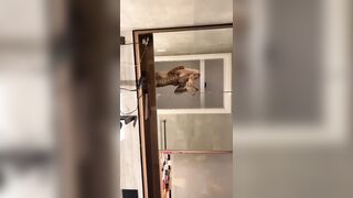 [2272 of 3935 Vids] Bree Louise (bree_louisexoxo aka breebbydance) OnlyFans Leaks Nude