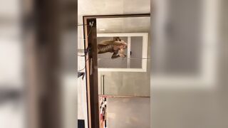 [2272 of 3935 Vids] Bree Louise (bree_louisexoxo aka breebbydance) OnlyFans Leaks Nude