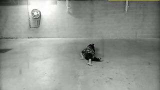 [2301 of 3935 Vids] Bree Louise (bree_louisexoxo aka breebbydance) OnlyFans Leaks Nude