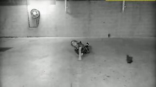 [2301 of 3935 Vids] Bree Louise (bree_louisexoxo aka breebbydance) OnlyFans Leaks Nude