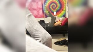 [2347 of 3935 Vids] Bree Louise (bree_louisexoxo aka breebbydance) OnlyFans Leaks Nude