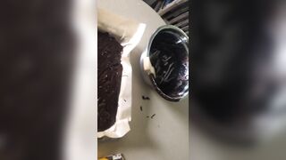 [244 of 3935 Vids] Bree Louise (bree_louisexoxo aka breebbydance) OnlyFans Leaks Nude