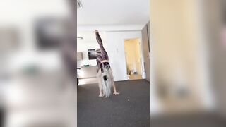 [2444 of 3935 Vids] Bree Louise (bree_louisexoxo aka breebbydance) OnlyFans Leaks Nude