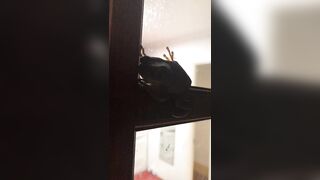 [2445 of 3935 Vids] Bree Louise (bree_louisexoxo aka breebbydance) OnlyFans Leaks Nude