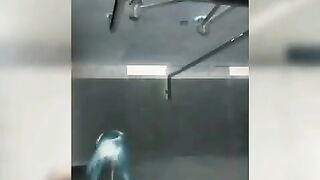 [2464 of 3935 Vids] Bree Louise (bree_louisexoxo aka breebbydance) OnlyFans Leaks Nude