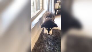 [2510 of 3935 Vids] Bree Louise (bree_louisexoxo aka breebbydance) OnlyFans Leaks Nude