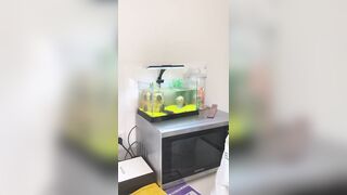 [2510 of 3935 Vids] Bree Louise (bree_louisexoxo aka breebbydance) OnlyFans Leaks Nude