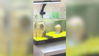 [2510 of 3935 Vids] Bree Louise (bree_louisexoxo aka breebbydance) OnlyFans Leaks Nude