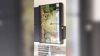 [2510 of 3935 Vids] Bree Louise (bree_louisexoxo aka breebbydance) OnlyFans Leaks Nude