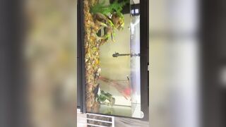 [2510 of 3935 Vids] Bree Louise (bree_louisexoxo aka breebbydance) OnlyFans Leaks Nude