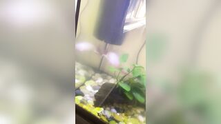 [2510 of 3935 Vids] Bree Louise (bree_louisexoxo aka breebbydance) OnlyFans Leaks Nude