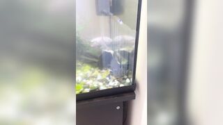 [2510 of 3935 Vids] Bree Louise (bree_louisexoxo aka breebbydance) OnlyFans Leaks Nude