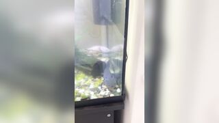 [2510 of 3935 Vids] Bree Louise (bree_louisexoxo aka breebbydance) OnlyFans Leaks Nude