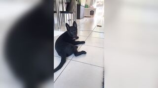 [2510 of 3935 Vids] Bree Louise (bree_louisexoxo aka breebbydance) OnlyFans Leaks Nude