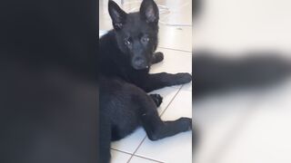 [2510 of 3935 Vids] Bree Louise (bree_louisexoxo aka breebbydance) OnlyFans Leaks Nude