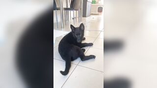 [2510 of 3935 Vids] Bree Louise (bree_louisexoxo aka breebbydance) OnlyFans Leaks Nude