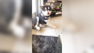 [2510 of 3935 Vids] Bree Louise (bree_louisexoxo aka breebbydance) OnlyFans Leaks Nude