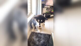 [2510 of 3935 Vids] Bree Louise (bree_louisexoxo aka breebbydance) OnlyFans Leaks Nude