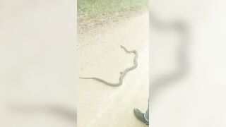 [2592 of 3935 Vids] Bree Louise (bree_louisexoxo aka breebbydance) OnlyFans Leaks Nude