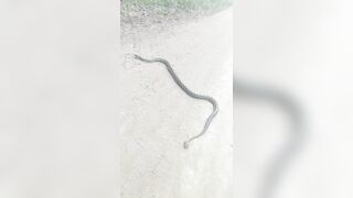 [2592 of 3935 Vids] Bree Louise (bree_louisexoxo aka breebbydance) OnlyFans Leaks Nude