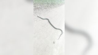 [2592 of 3935 Vids] Bree Louise (bree_louisexoxo aka breebbydance) OnlyFans Leaks Nude