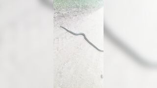 [2592 of 3935 Vids] Bree Louise (bree_louisexoxo aka breebbydance) OnlyFans Leaks Nude