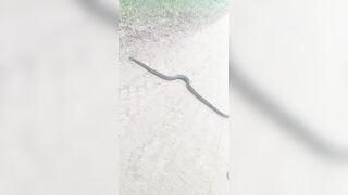 [2592 of 3935 Vids] Bree Louise (bree_louisexoxo aka breebbydance) OnlyFans Leaks Nude