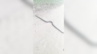 [2592 of 3935 Vids] Bree Louise (bree_louisexoxo aka breebbydance) OnlyFans Leaks Nude