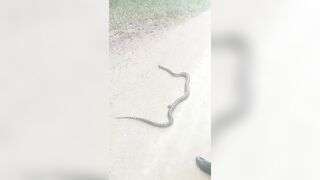 [2592 of 3935 Vids] Bree Louise (bree_louisexoxo aka breebbydance) OnlyFans Leaks Nude