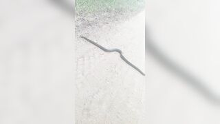 [2592 of 3935 Vids] Bree Louise (bree_louisexoxo aka breebbydance) OnlyFans Leaks Nude