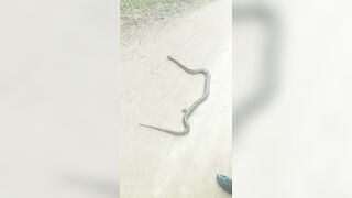 [2592 of 3935 Vids] Bree Louise (bree_louisexoxo aka breebbydance) OnlyFans Leaks Nude