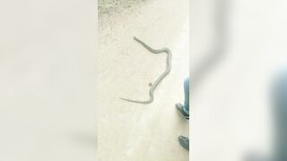 [2592 of 3935 Vids] Bree Louise (bree_louisexoxo aka breebbydance) OnlyFans Leaks Nude