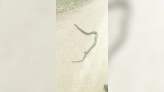 [2592 of 3935 Vids] Bree Louise (bree_louisexoxo aka breebbydance) OnlyFans Leaks Nude