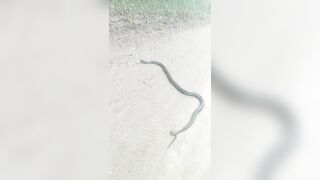 [2592 of 3935 Vids] Bree Louise (bree_louisexoxo aka breebbydance) OnlyFans Leaks Nude