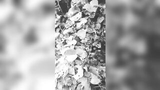 [2595 of 3935 Vids] Bree Louise (bree_louisexoxo aka breebbydance) OnlyFans Leaks Nude