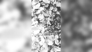 [2595 of 3935 Vids] Bree Louise (bree_louisexoxo aka breebbydance) OnlyFans Leaks Nude