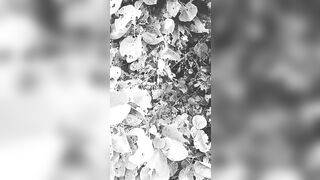 [2595 of 3935 Vids] Bree Louise (bree_louisexoxo aka breebbydance) OnlyFans Leaks Nude