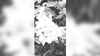 [2595 of 3935 Vids] Bree Louise (bree_louisexoxo aka breebbydance) OnlyFans Leaks Nude