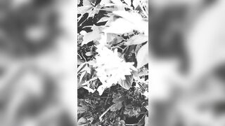 [2595 of 3935 Vids] Bree Louise (bree_louisexoxo aka breebbydance) OnlyFans Leaks Nude