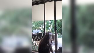 [2826 of 3935 Vids] Bree Louise (bree_louisexoxo aka breebbydance) OnlyFans Leaks Nude